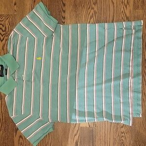Polo by Ralph Lauren Green Striped Polo Shirt